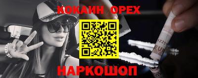 гашик Бийск