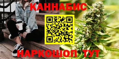 гашик Бийск