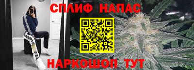 молекула духа Беслан