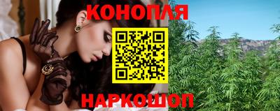 гашик Бийск