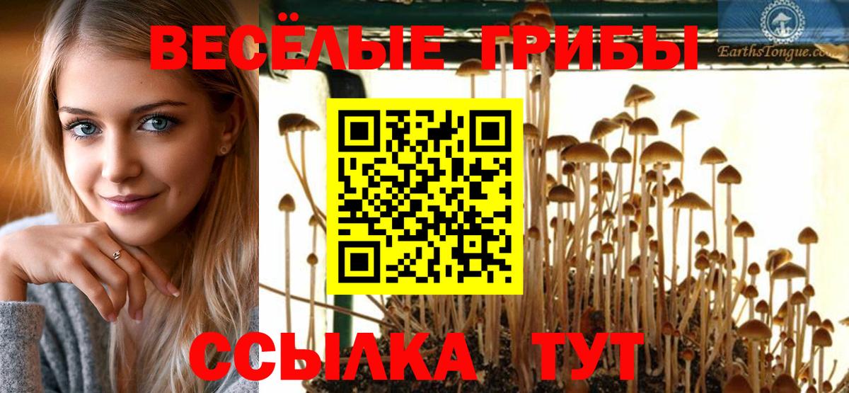 Псилоцибиновые грибы ЛСД Каменка