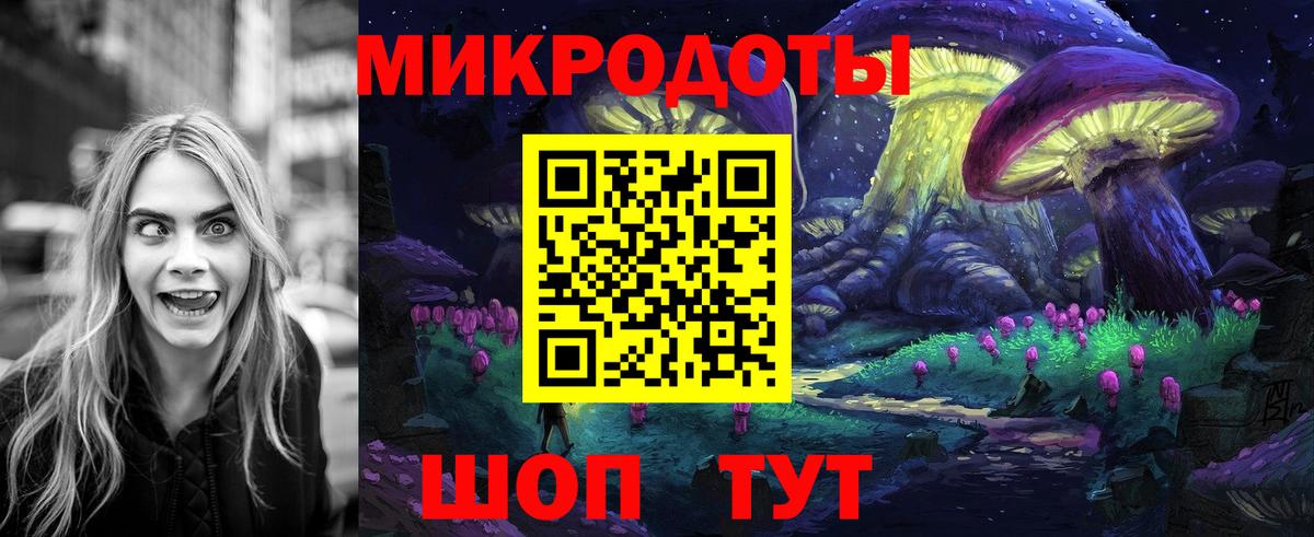 Псилоцибиновые грибы Cubensis  Каменка 