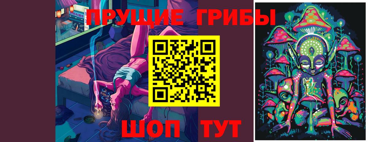 Каменка  Галлюциногенные грибы Cubensis  Вход с VPN  Псилоцибиновые грибы мицелий 
